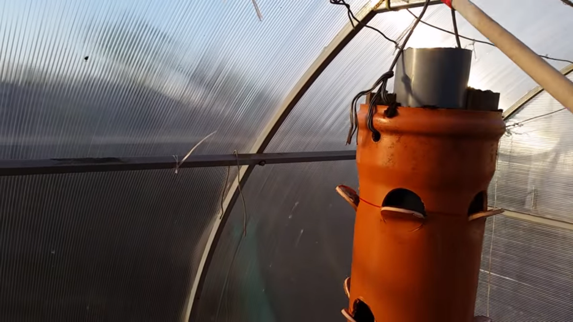 how to grow strawberries in a polycarbonate greenhouse