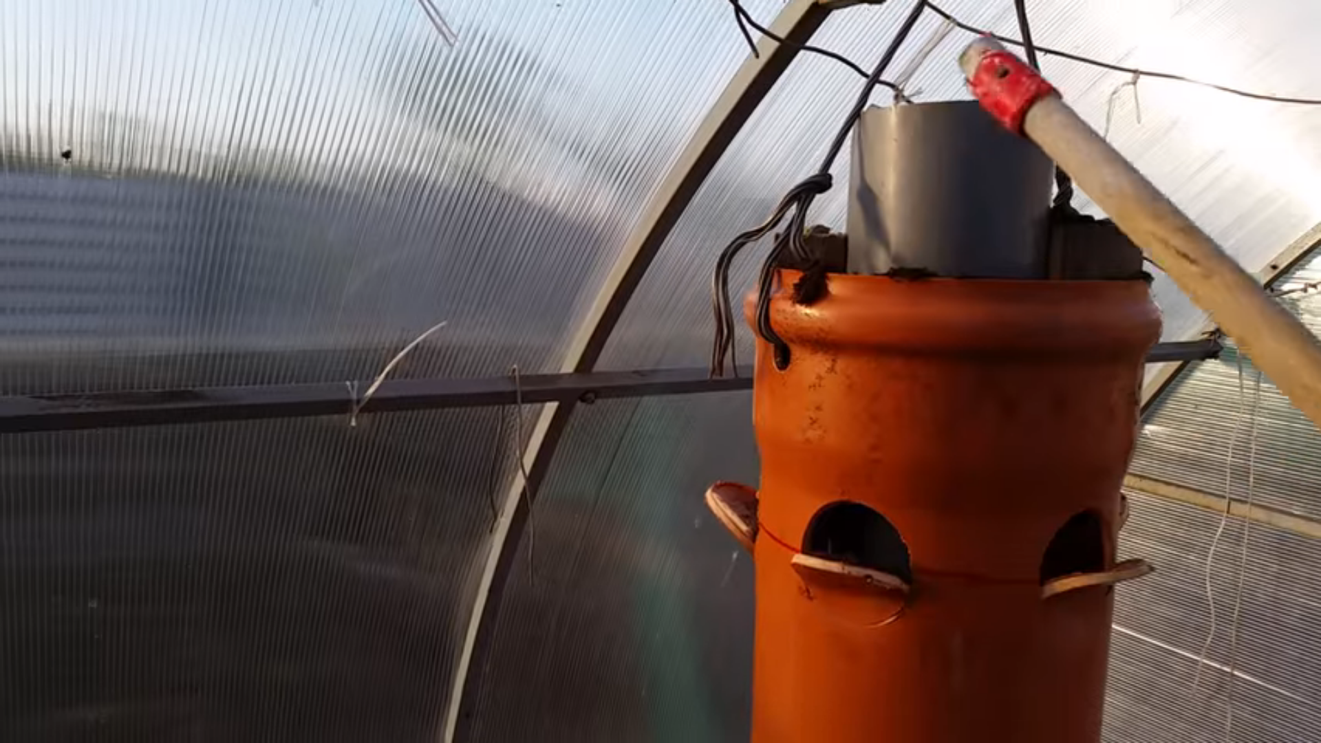 how to grow strawberries in a polycarbonate greenhouse