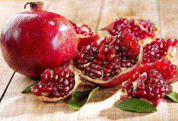 how pomegranate is grown at home