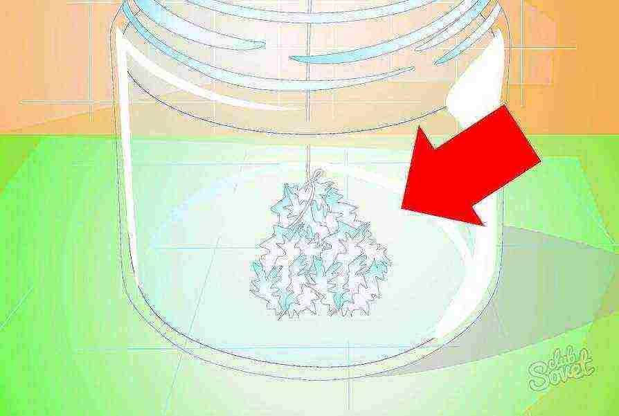 how salt crystals are grown at home