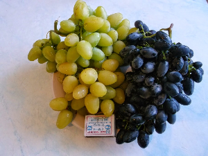 what good grape varieties