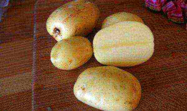 what are the best varieties of potatoes