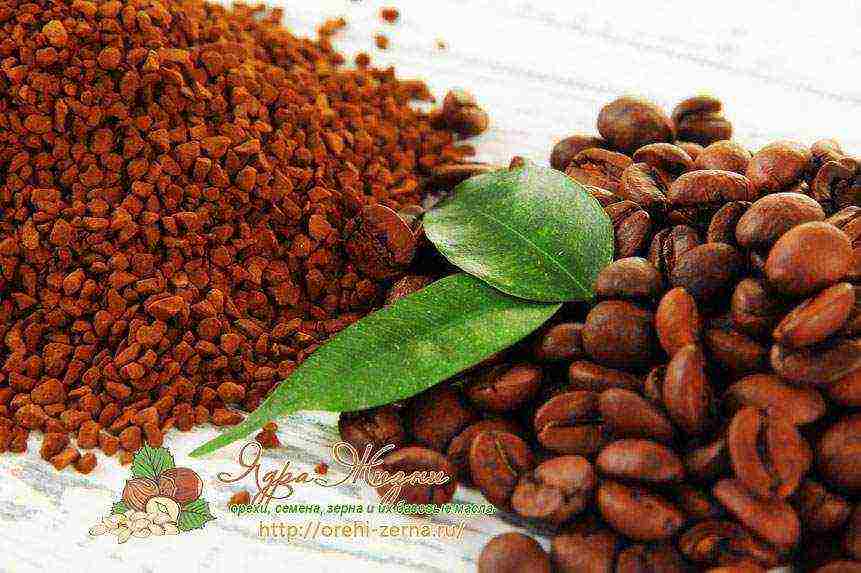 what are the best varieties of coffee