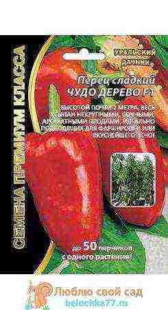 what are the best varieties of pepper