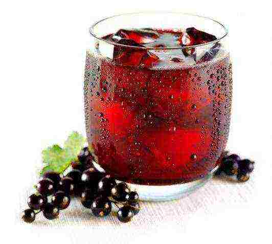 what are the best varieties of currants