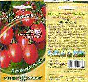 what varieties of tomatoes are best grown in the suburbs