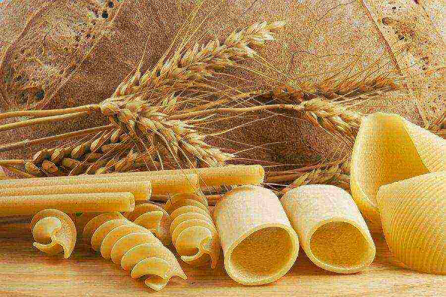 what varieties of wheat are grown in the Stavropol Territory