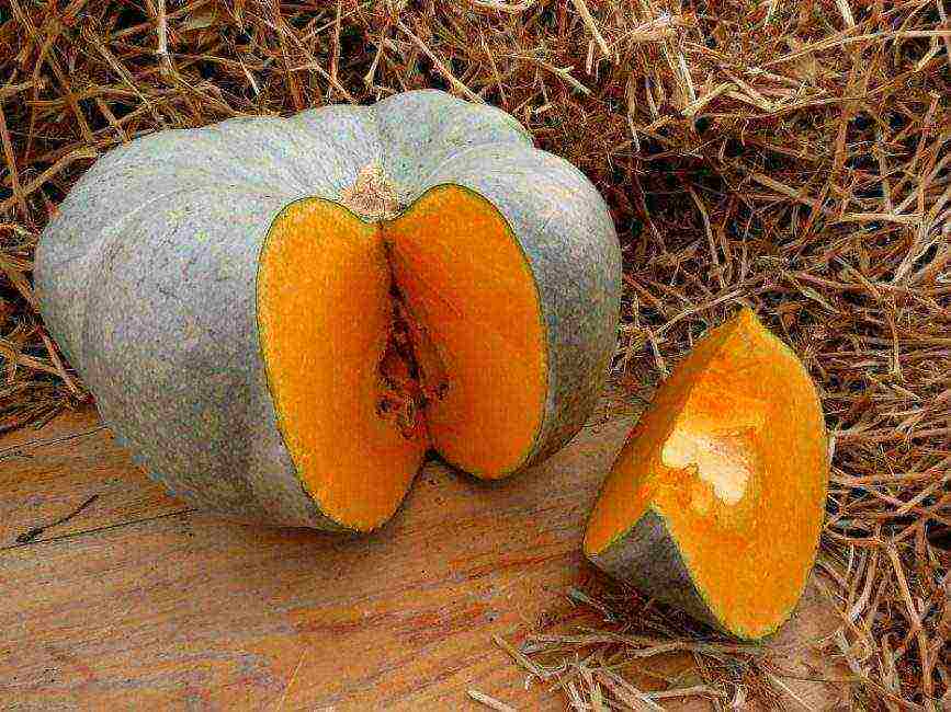which pumpkin varieties are better