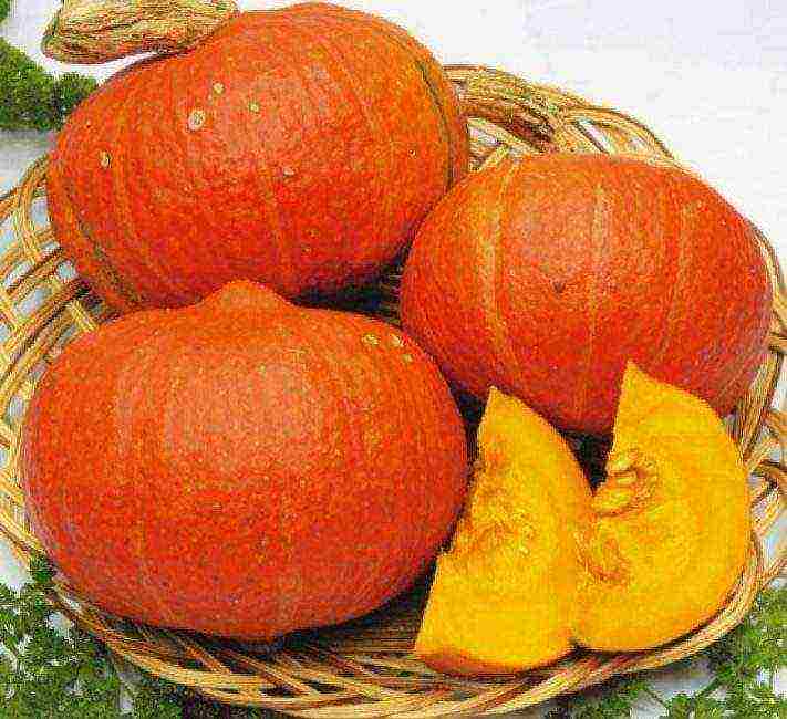 which pumpkin varieties are better