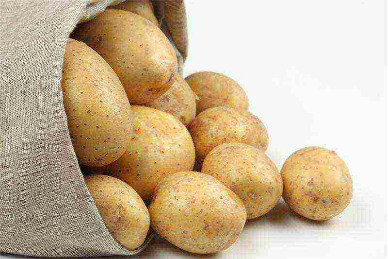 what potatoes to grow in the Sverdlovsk region