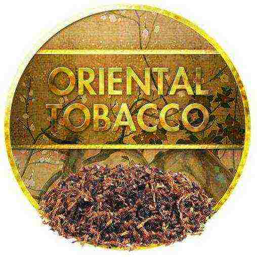 what is the best kind of tobacco