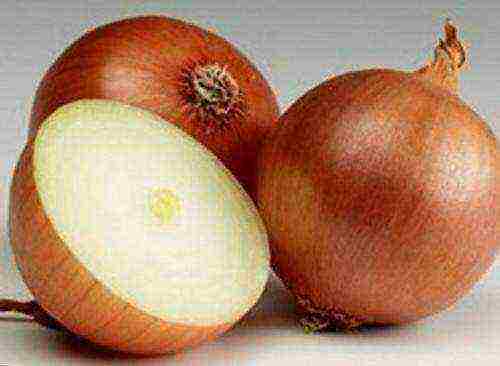 which variety is better than onions