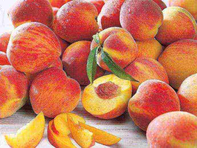 what sort of peaches can be grown in the suburbs