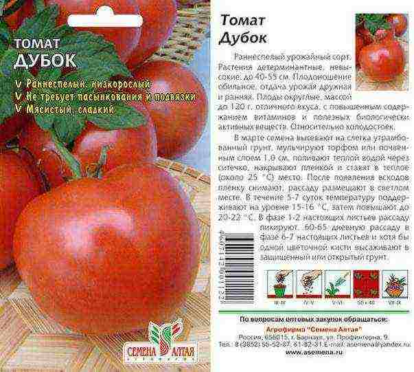 which variety of tomatoes is better