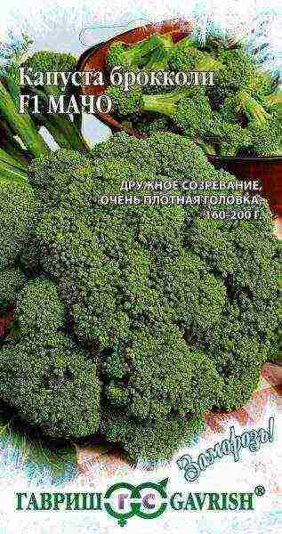 broccoli repolyo pinakamahusay na mga pagkakaiba-iba