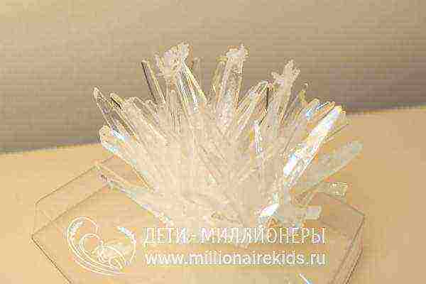 crystals to grow sets for children