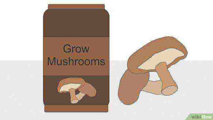 who grew mushrooms at home