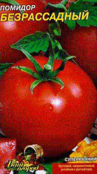 the best seedless tomato varieties