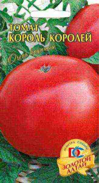 the best large-fruited varieties of tomatoes