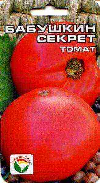 the best large-fruited varieties of tomatoes