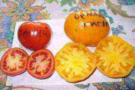 the best orange tomato varieties