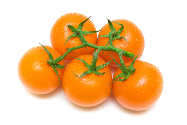 the best orange tomato varieties