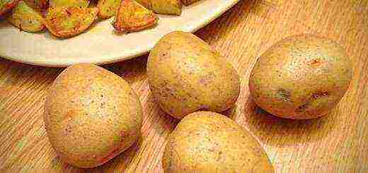 the best domestic potato varieties