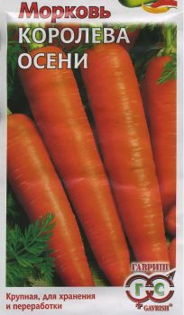 the best winter varieties of carrots