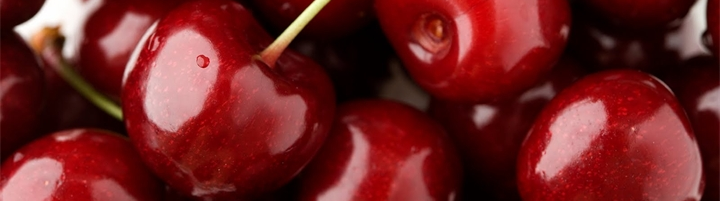 the best early varieties of cherries