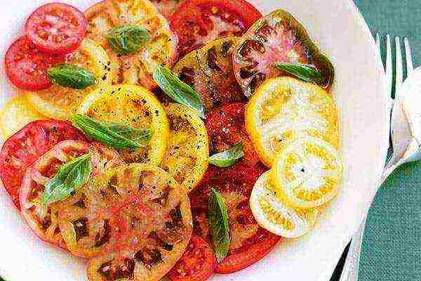 the best salad varieties of tomatoes