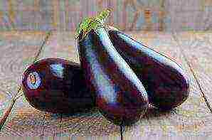 the best early ripening varieties of eggplant