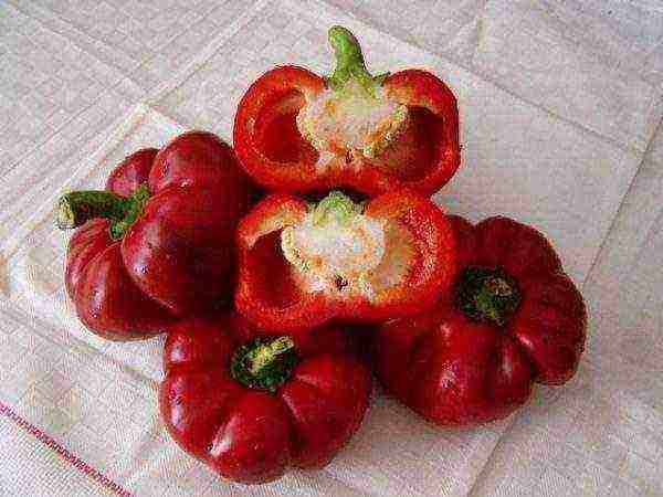 best sweet peppers varieties