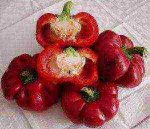 best sweet peppers varieties