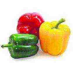 best sweet peppers varieties