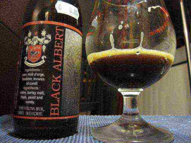 ang pinakamahusay na mga pagkakaiba-iba ng Belgian beer