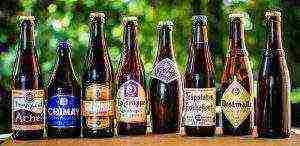 the best varieties of Belgian beer