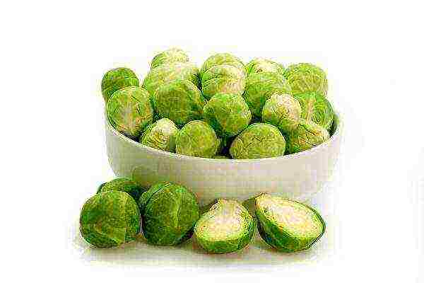 the best varieties of Brussels sprouts