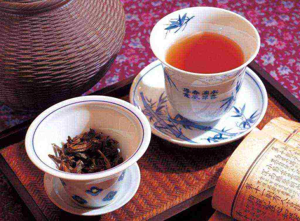 the best varieties of chinese tea