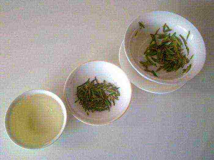 the best varieties of chinese tea