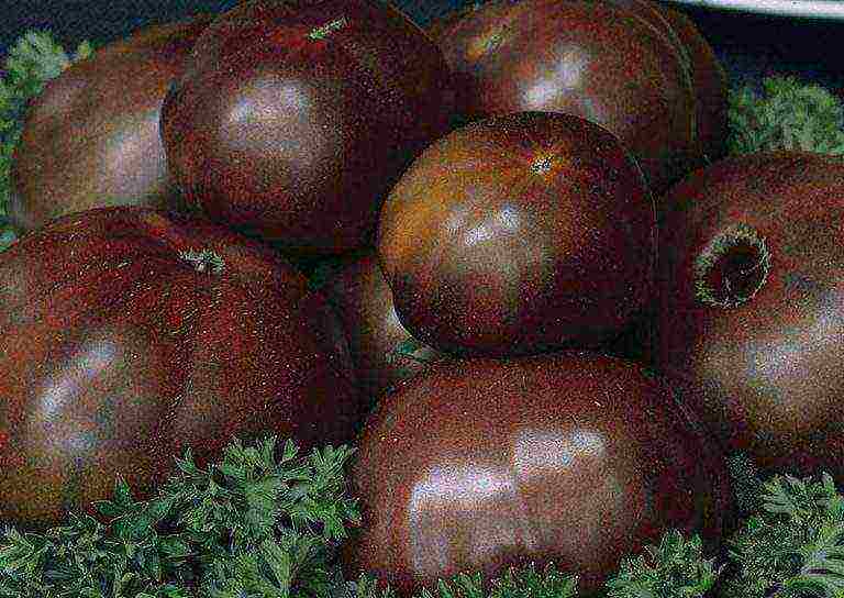 the best varieties of black-fruited tomatoes