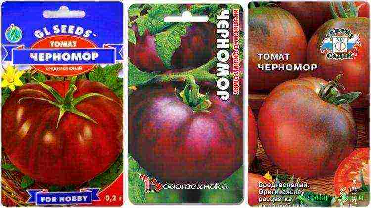 the best varieties of black-fruited tomatoes