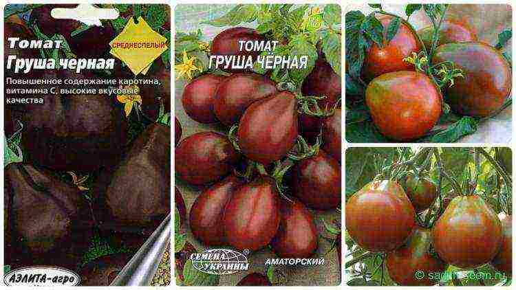 the best varieties of black-fruited tomatoes