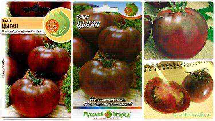 the best varieties of black-fruited tomatoes