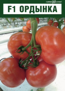 the best varieties of indeterminate tomatoes