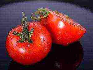 the best varieties of indeterminate tomatoes