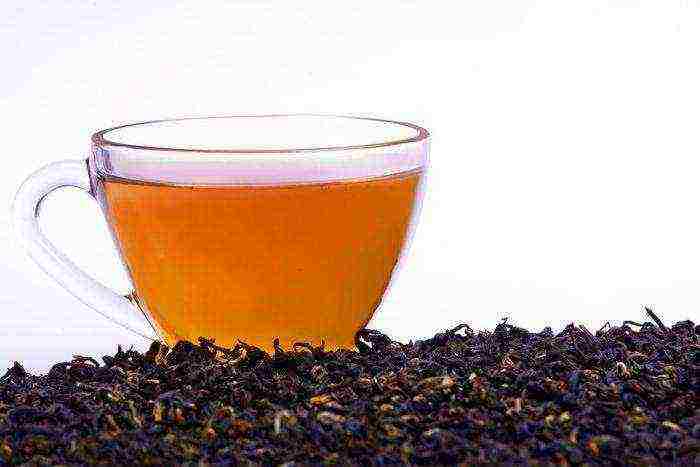 the best varieties of Indian tea