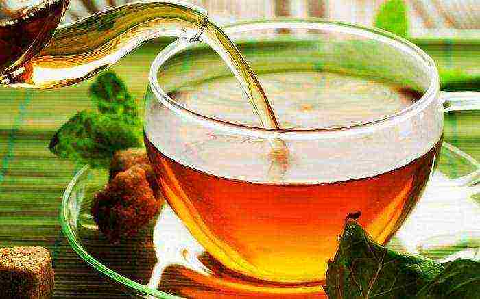 the best varieties of Indian tea