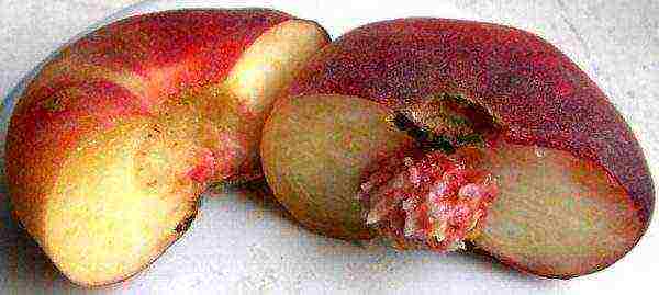 the best varieties of fig peach