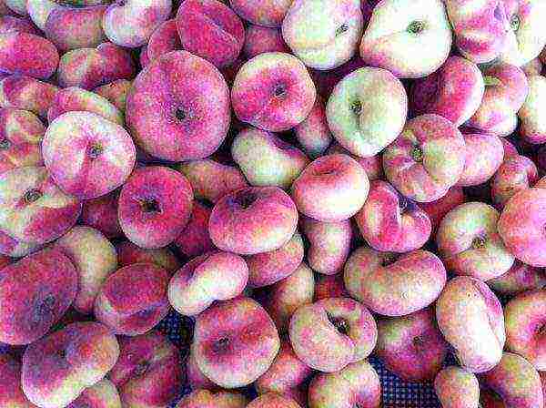 the best varieties of fig peach