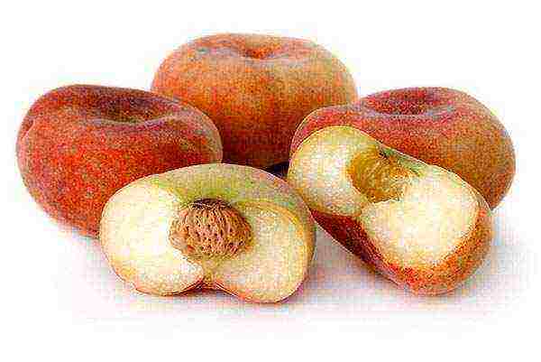 the best varieties of fig peach